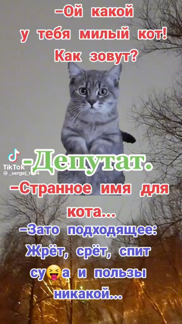  в LOOKY — публикация