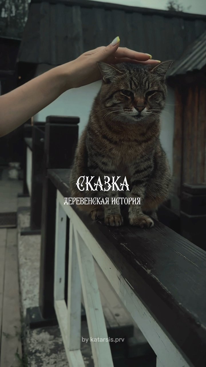 katarsis.prv в LOOKY. . ✍️ Шрифты, созданные...