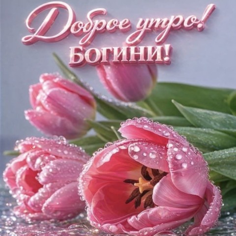 Looky_1669307996567 в LOOKY. #8марта. С праздником!
#8март...