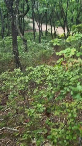 Петрович в LOOKY — публикация