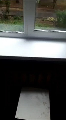 oknafolkon.ru в LOOKY