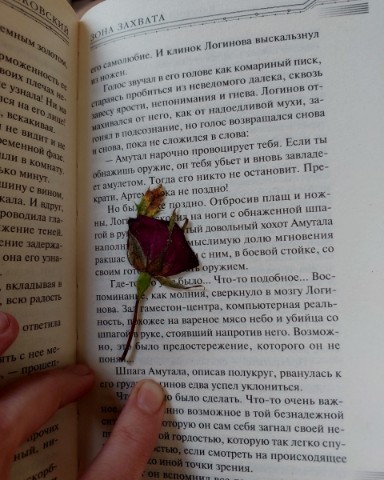 milafaceless в LOOKY. . Кусочек лета всегда ...