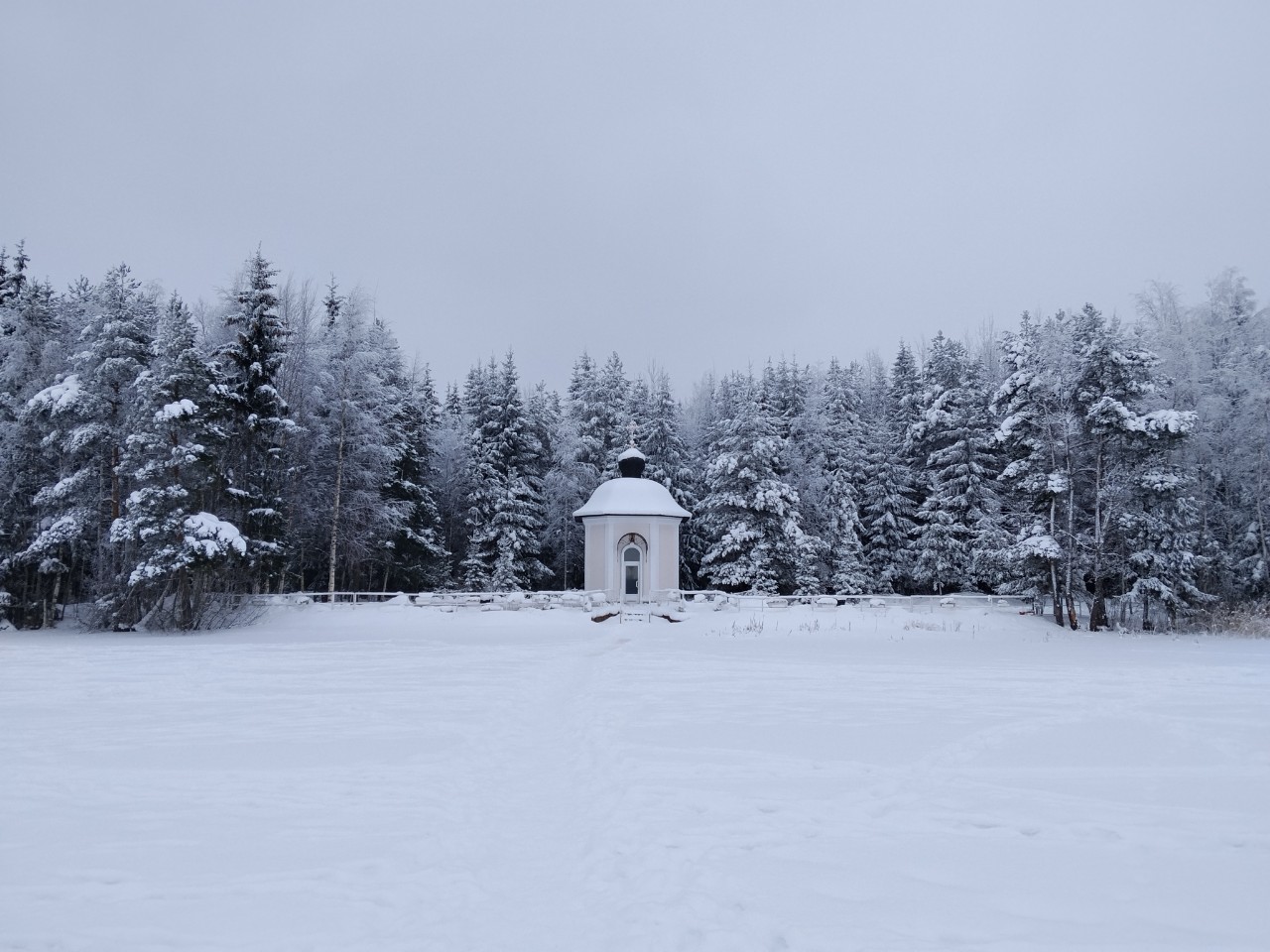 grigorenkoelizaveta24 в LOOKY — #мойуголок
