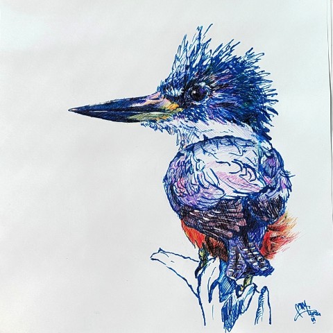 moremiron_art в LOOKY. #art,#illustration,#animalistic,#realism,#realistic,#sketch,#sketching,#birds,#kingfiher,#иллюстрация,#антималистика,#скетч,#смешаннаятехника,#реализм,#анималистическийжанр,#птичкиневелички,#зимородок. Просто очередной зим...