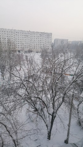 Dmitry Sibiraykov в LOOKY. . Зима лютая, останови...