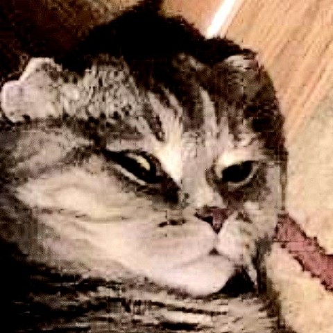 Denis980062 в LOOKY. . 