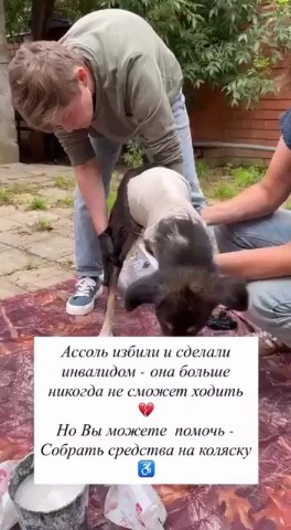 Looky_177234195672899 в LOOKY. . Ну что, друзья, наст...