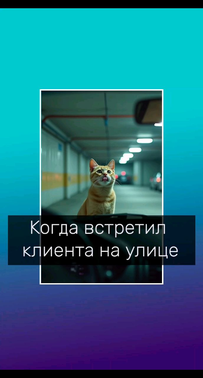 Владимир Мелешкин в LOOKY. #психологическийюмор,#кот,#удивление,#mel_mindset,#психологволгоград,#Волгоград,#психологонлайн. Когда встретил клиен...