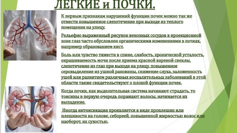 netyprofilya1234 в LOOKY. . В легких происходит ...