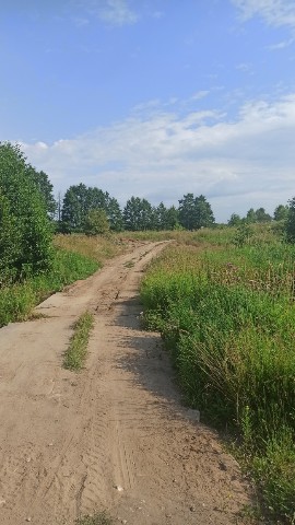 sitiezen93 в LOOKY. . У кого что, а у нас ...