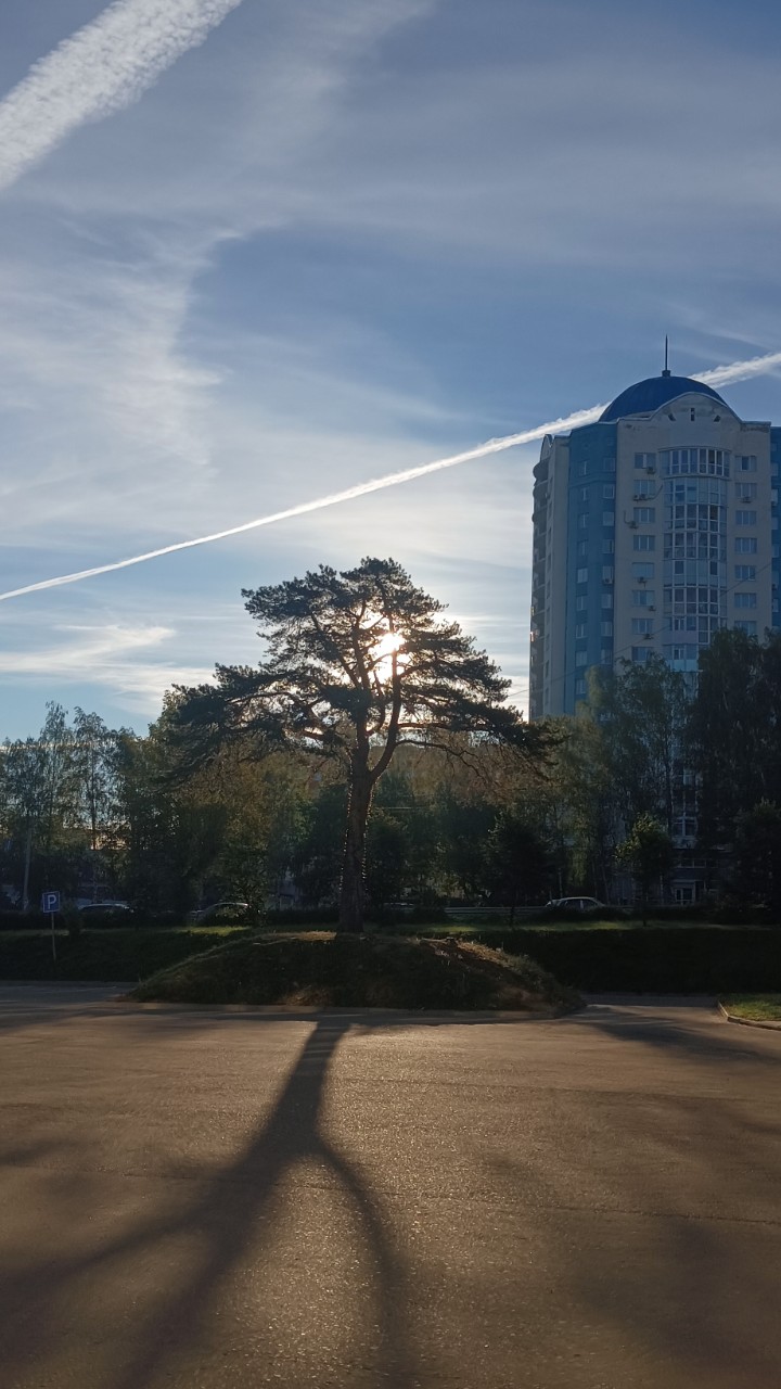 bee_nastik