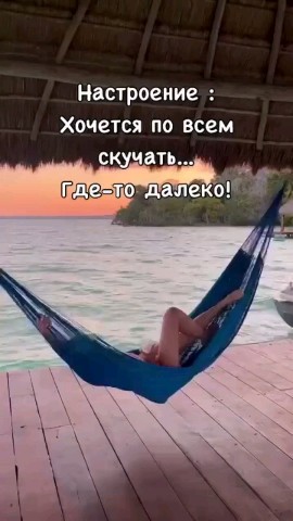 ВОЛК СЕРЫЙ