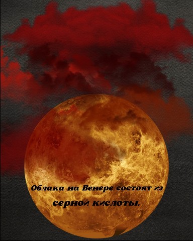 Sюrr_ в LOOKY. #факт. #факт