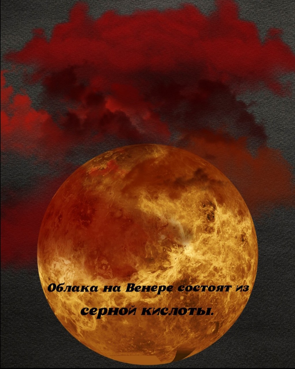 Sюrr_ в LOOKY — #факт