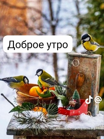 Looky_1700268671475 в LOOKY. #23февраля. #23февраля