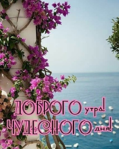 Алла в LOOKY. . 