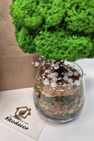 fitodecor в LOOKY. . Композиция «Рождеств...