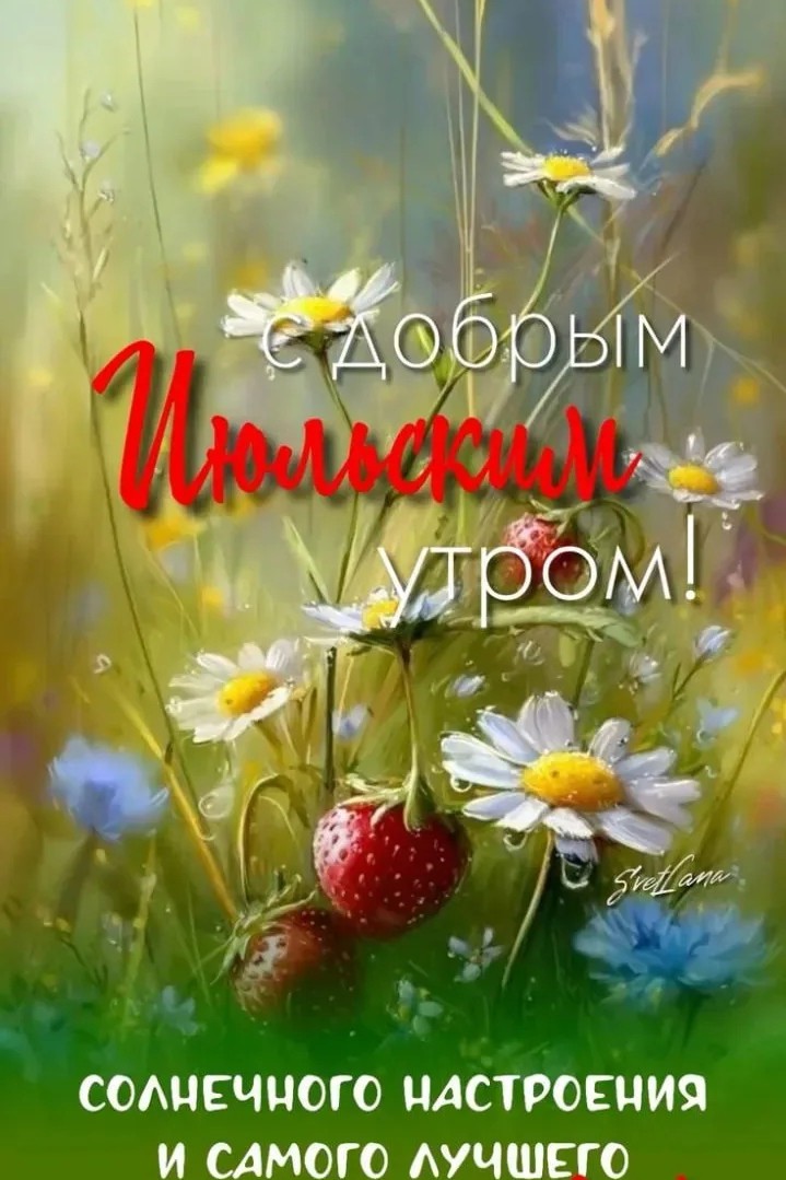 Сириус в LOOKY — публикация