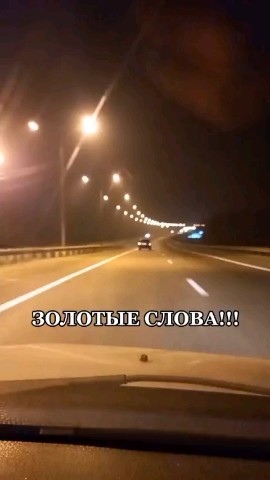 ВОЛК СЕРЫЙ