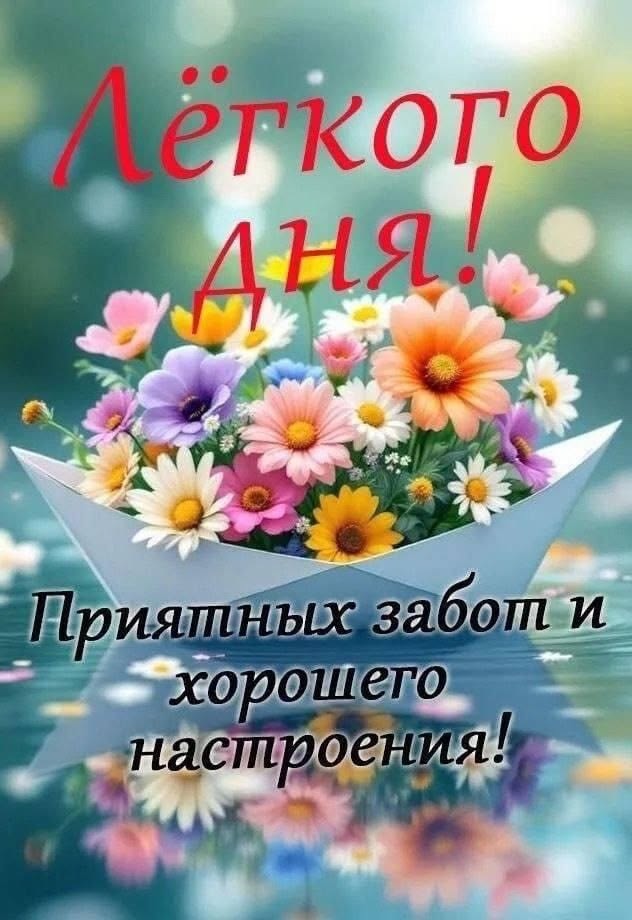 Киса в LOOKY — публикация