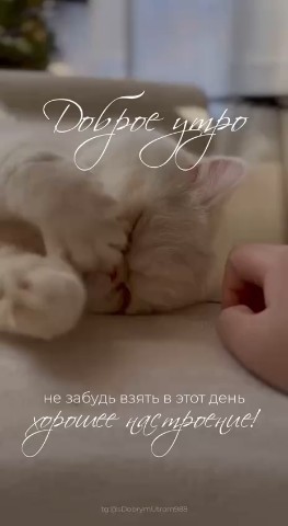 natali in LOOKY. . Счастье приходит во ...