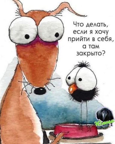 Светлана в LOOKY. . 