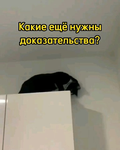 Смешные видео в LOOKY. #любовь,#мило,#смешно,#смех,#умора,#юмор,#ржака,#смешноевидео,#смешное_видео,#видео,#топвидео,#прикол,#приколы,#ржунемогу,#ржач,#шутка,#шутки,#позитив,#топ,#лучшее,#весело,#веселье,#животные,#питомцы,#котики,#котик,#собачки,#собачка,#милашки,#милота,#милоисмешно,#мило_и_смешно,#кот,#кошка,#котэ,#смешныеживотные,#смешные_животные,#милыеживотные,#милые_животные,#милыепитомцы,#милые_питомцы,#домашниепитомцы,#домашние_питомцы,#домашниеживотные,#домашние_животные,#собакен,#собака,#пес,#угар,#угарно,#тренд,#втренде,#подборка,#рекомендация,#рекомендации,#доброеутро,#времялюбви,#looky,#lookylove,#cats,#cat,#dogs,#dog. 😮😮😮






#любовь...