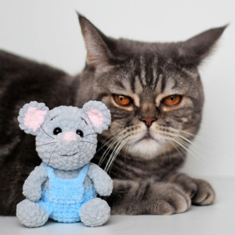 Toys_hm амигуруми МК и игрушки в наличии в LOOKY. #амигуруми,#мягкиеигрушки,#мышка,#амигурумимк,#вязаниекрючком,#мышькрючком,#ручнаяработа,#схемыкрючком,#весна,#кот,#мкамигуруми,#вяжукрючком,#плюшевыеигрушки,#идеиподарка,#пряжа,#crochetpattern,#игрушкикрючком,#amigurumiart,#crochettoys,#мягкиеигрушки. Сегодня ни как нельз...