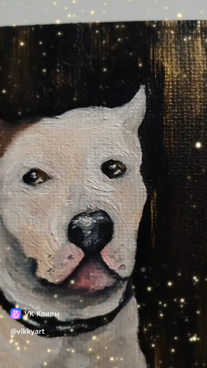 art_victoria_p в LOOKY. #холстнамагните,#маслохолст,#портрет,#портретсобаки. Портрет собачки на м...
