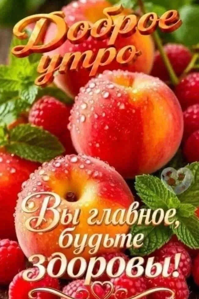 Сириус в LOOKY — публикация