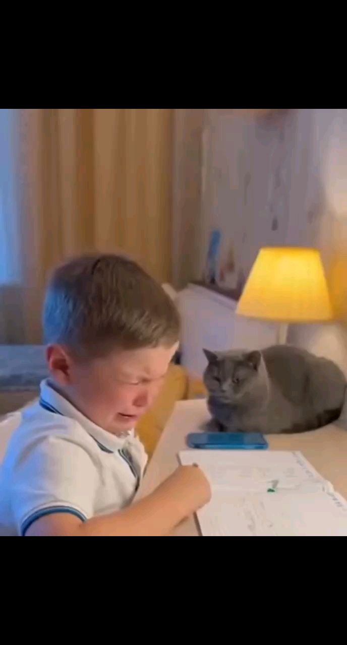 Алла Краснова в LOOKY. . Кот учитель года. 🤣...