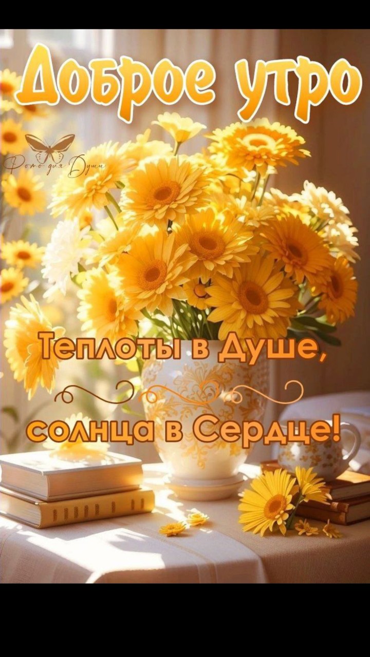 sergio_luga в LOOKY — публикация