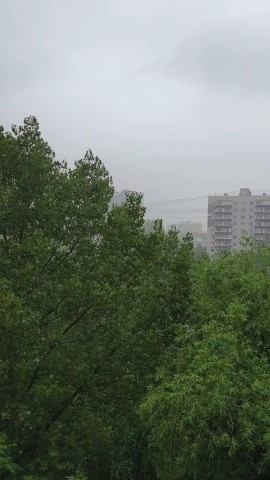  в LOOKY — Погода шепчет