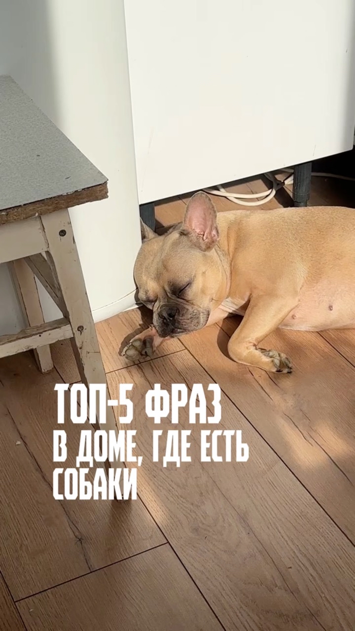 Зина и Майки in LOOKY. #150253274. Особенно часто после...