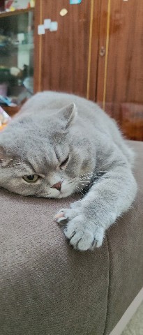 AleksWu в LOOKY. #pet. #pet