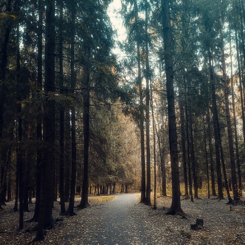 Анна в LOOKY. . 🏞️🦆

[#парк ](парк...