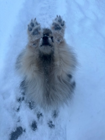 Looky_1712977567678 в LOOKY. . Здравствуйте, друзья...