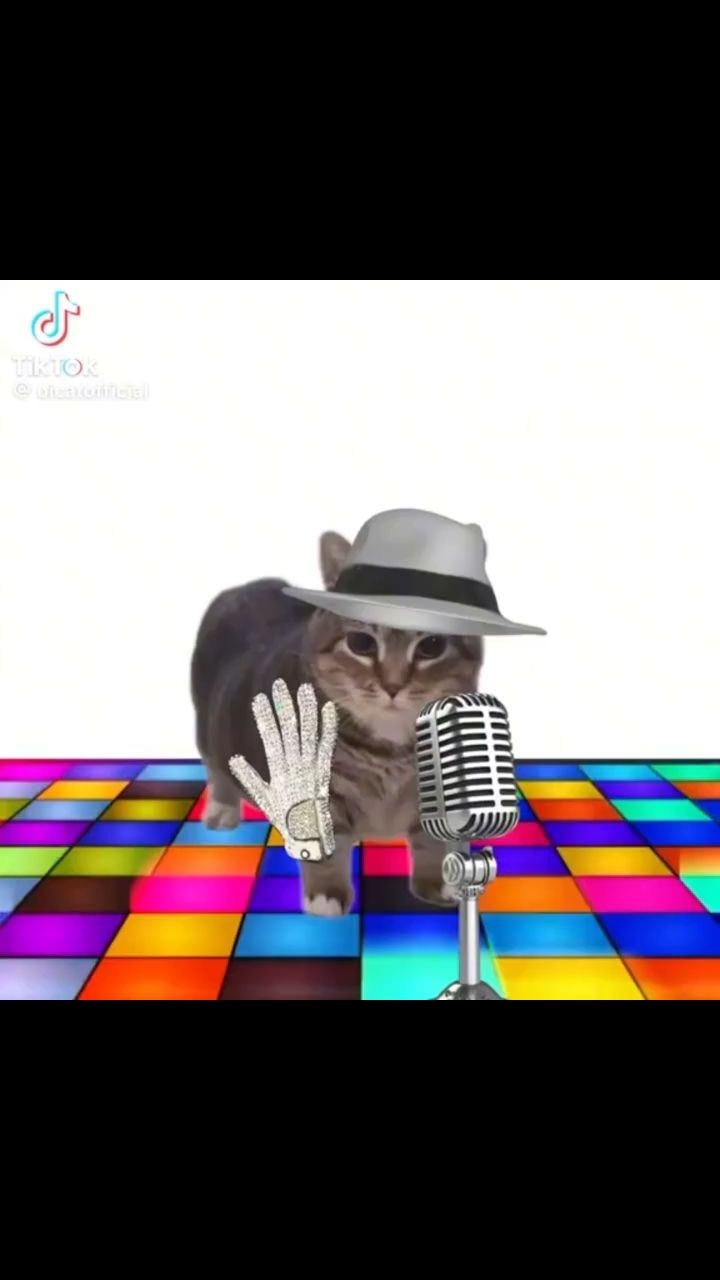 Сладшшшш в LOOKY. . 