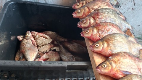 Роман в LOOKY. . Выходные на рыбалочк...