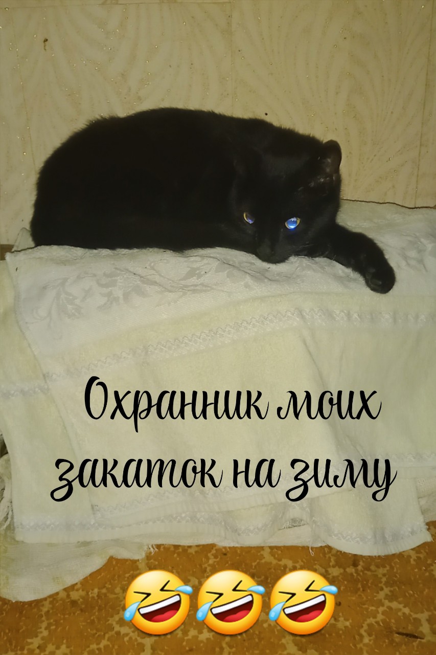  в LOOKY — публикация