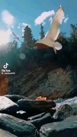 Звёздный Снегопад в LOOKY — публикация