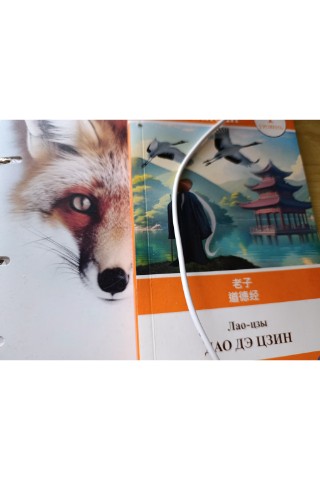 Rimstarks в LOOKY. . [#life ](life)[#love...