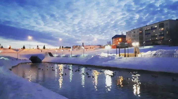 leninogorsk.life
