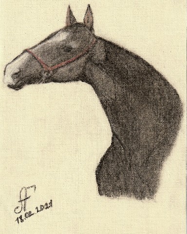 victoriaserbul_horse в LOOKY. #arthorse,#Victoriaserbul,#artVicky. [#ахалтекинец](ахалт...