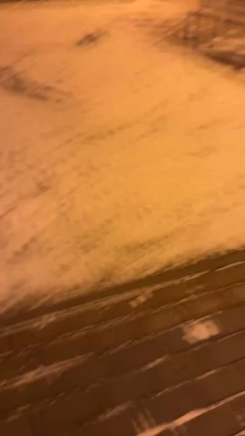 anbarinova в LOOKY. . Встретились друганы ...