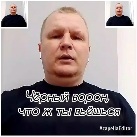 АЛЕКСЕЙ ГОЛОВИЦЫН ЯРОСЛАВЛЬ в LOOKY. . "ЧËРНЫЙ ВОРОН,ЧТО Ж ...
