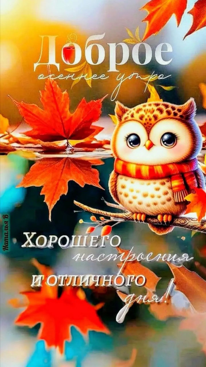 Сириус в LOOKY — публикация