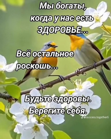 Looky_1708162265895 в LOOKY. . 