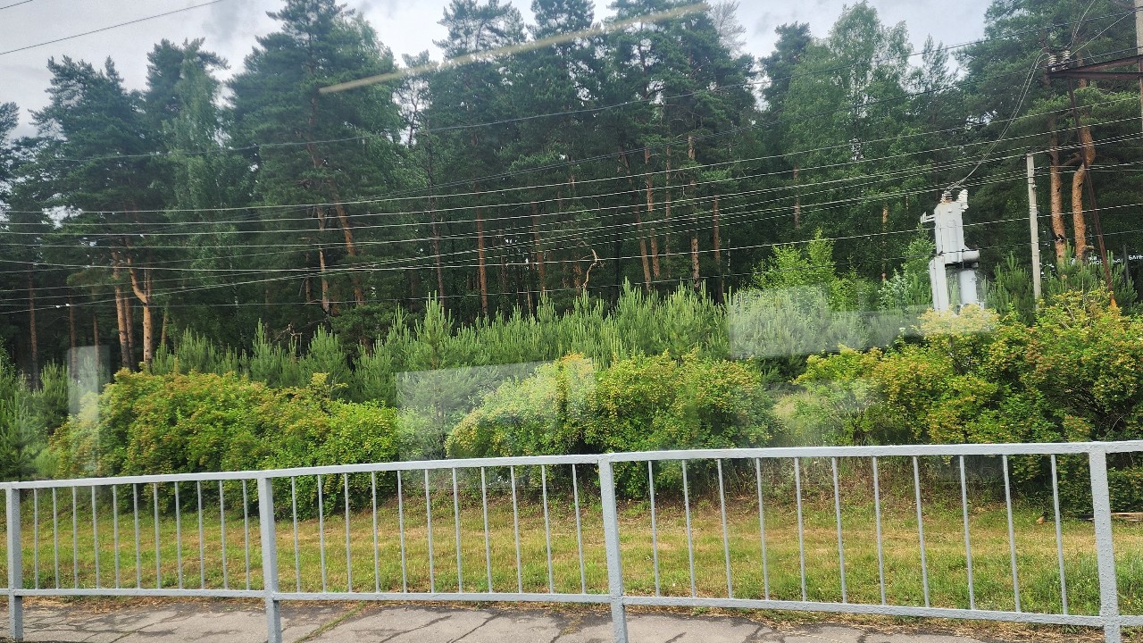 Евгения Глухарева in LOOKY