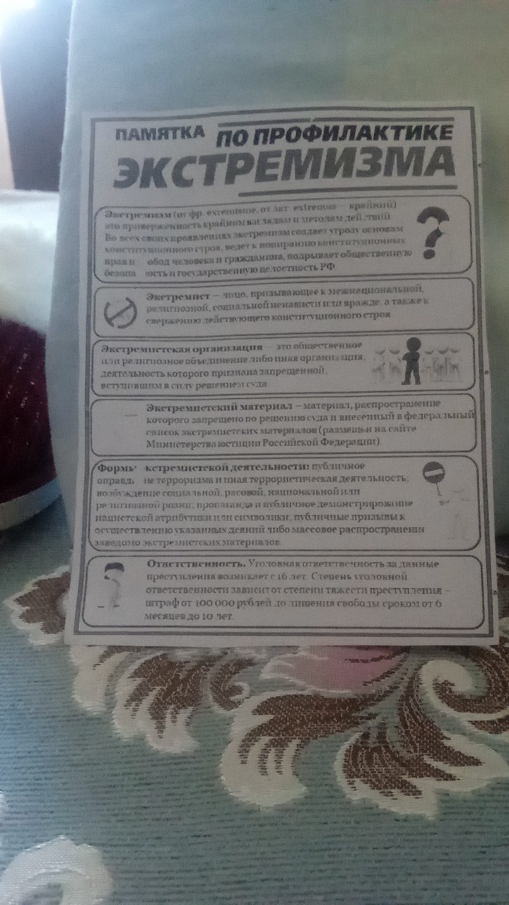  в LOOKY — #лес_рук